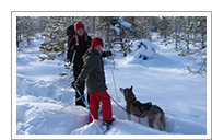 Winter Adventure Saija Husky Lodge