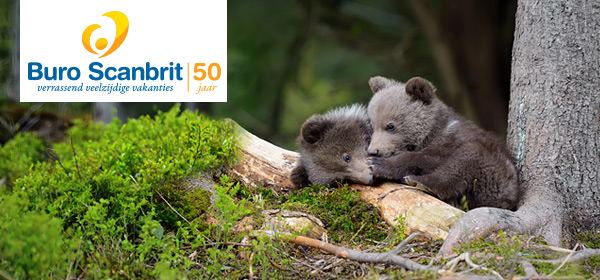 Boek je vakantie nog dit jaar. 3 redenen waarom.