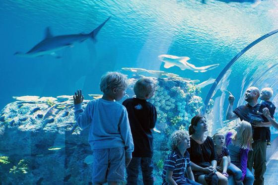Blog: Kopenhagen met kids